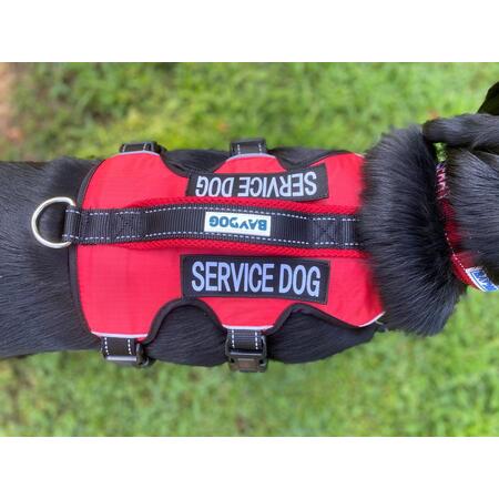 Baydog Harness Galveston Service Red Small