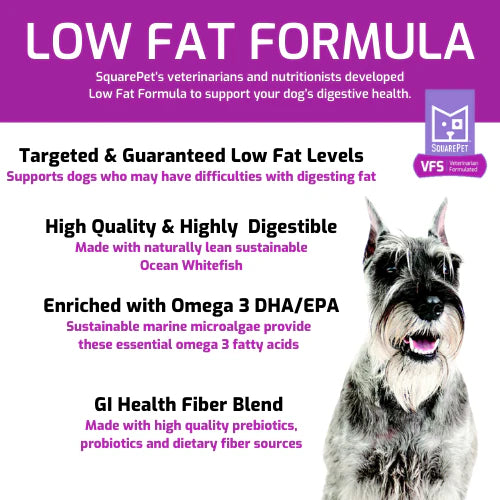 SquarePet VFS Low Fat Formula Dry Dog Food, 4.4-lb