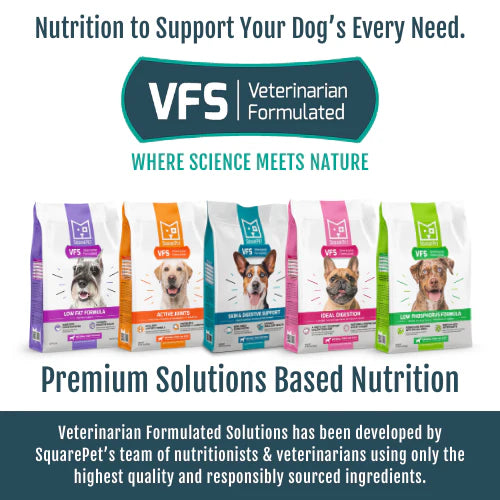 SquarePet VFS Low Phosphorus Dry Dog Food, 4.4-lb